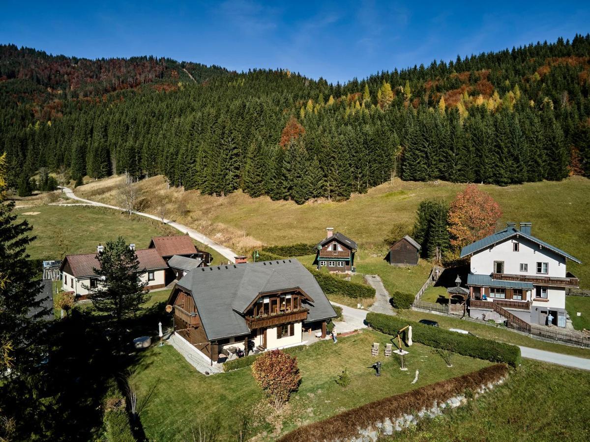 Frein Chalets - Wildalm Frein an der Murz Εξωτερικό φωτογραφία