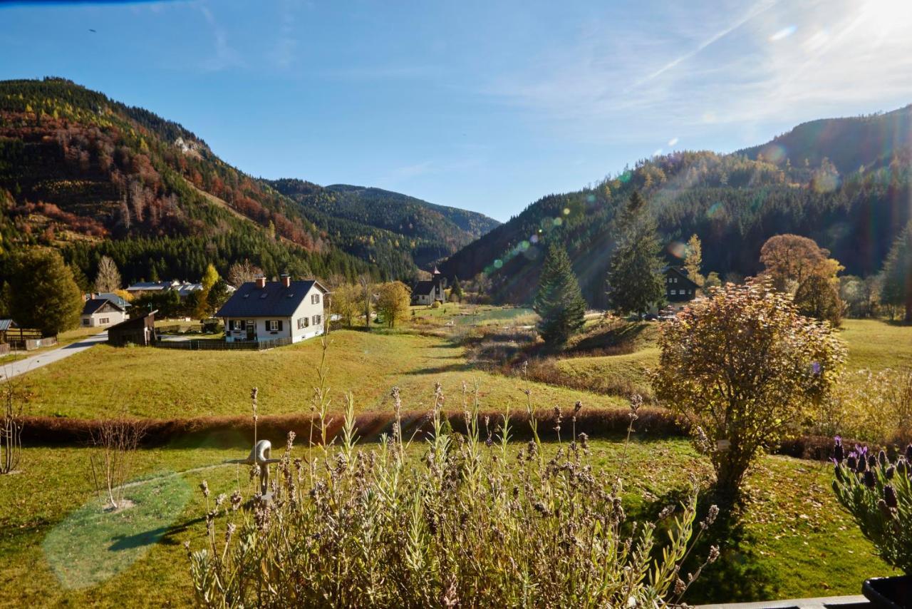 Frein Chalets - Wildalm Frein an der Murz Εξωτερικό φωτογραφία